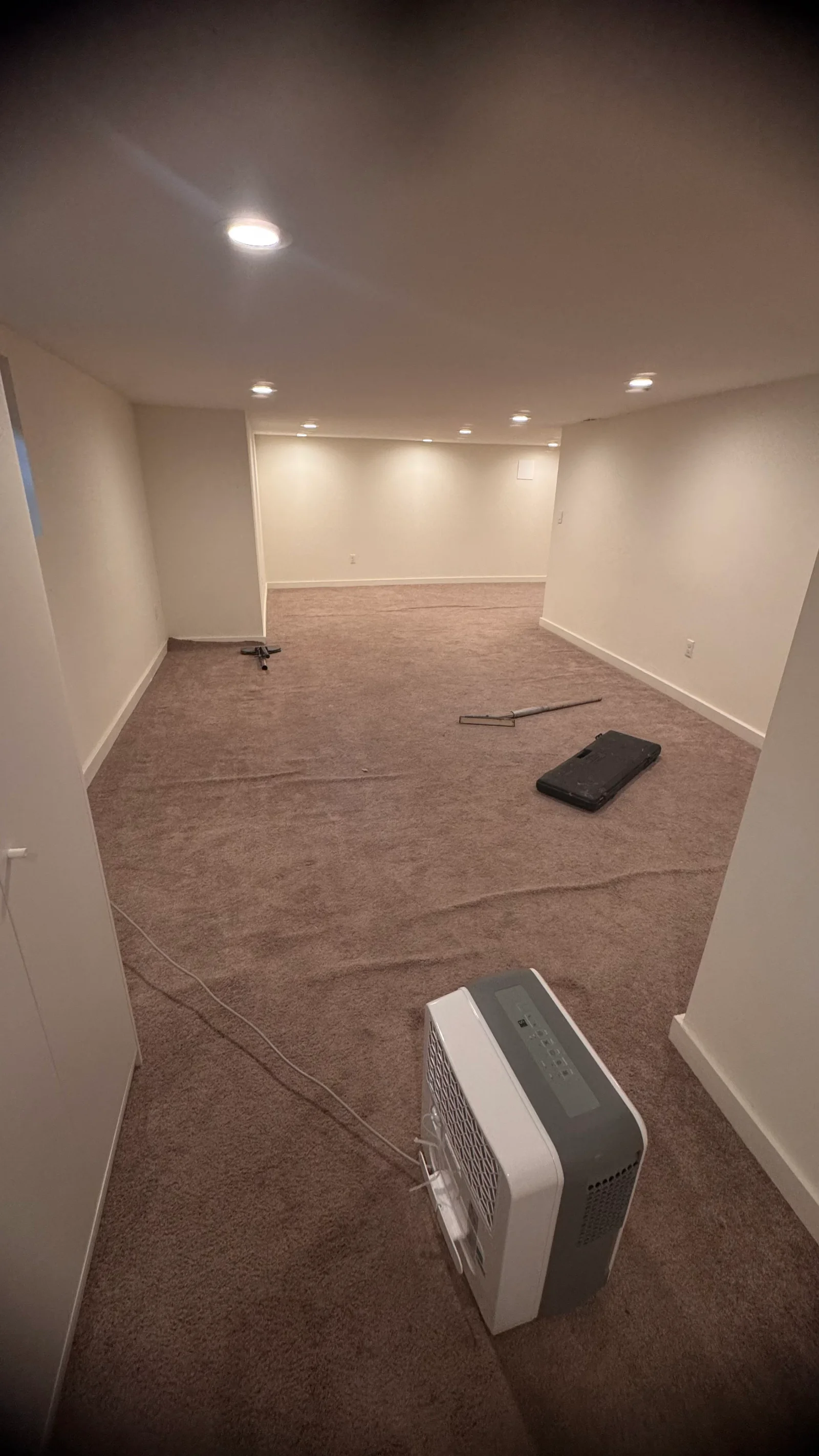 Installed carpet in basement room with recessed lighting and painted drywall walls