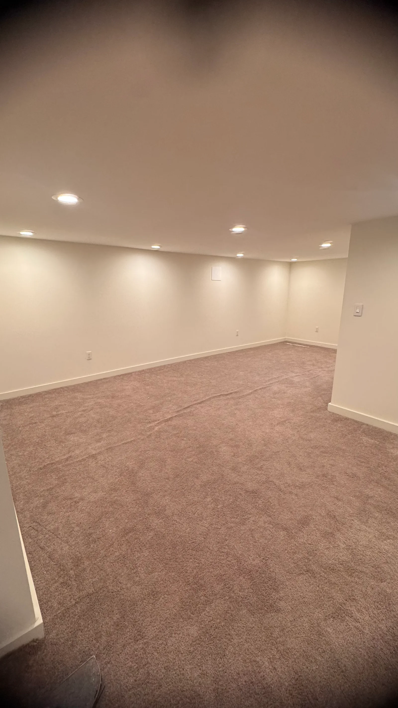 Newly installed neutral carpet in basement room with recessed ceiling lights and white drywall