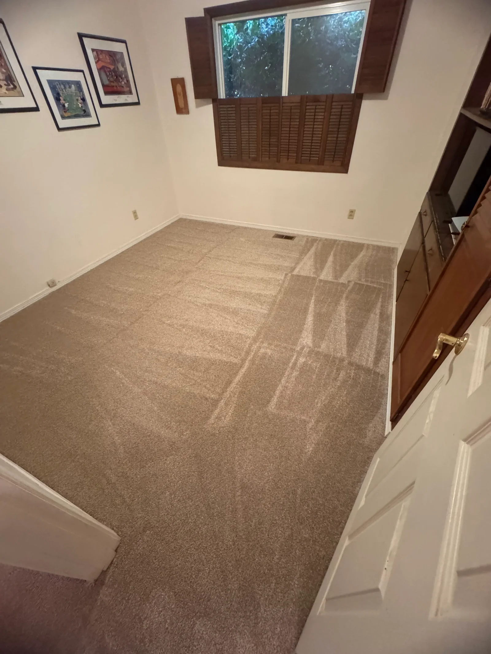 Newly installed neutral cut pile carpet in bedroom with clean seams and finished edges