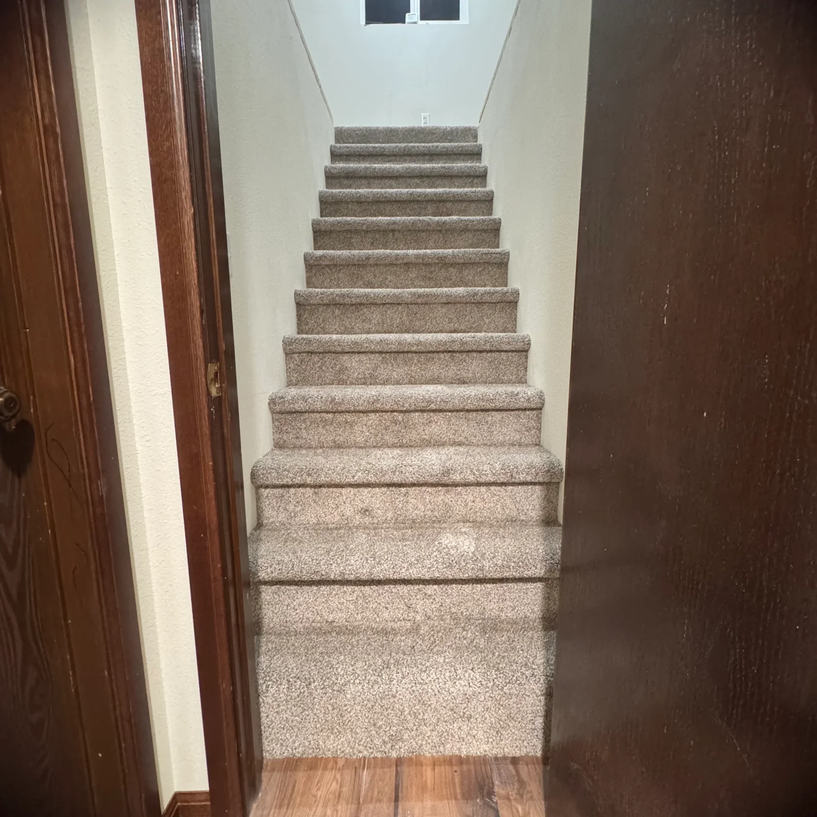 Basement staircase with installed neutral carpet on treads and risers, wood flooring at base