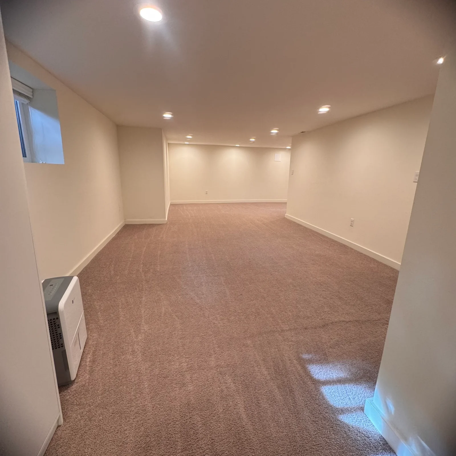 Finished basement with new carpet, white drywall walls, recessed lighting, and trim work